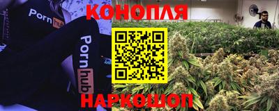 спиды Бийск