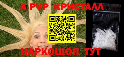 спиды Бийск